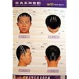 Series Chart of Acupuncture: Head Needle by  Wang Fuchun