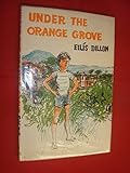Under the orange grove