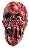 Rubie’s Costume Co Screaming Corpse Overhead Mask, Gray, One Size Picture