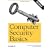 Computer Security Basics