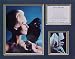 The Birds Picture Plaque Framed