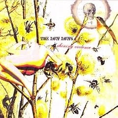 Cover Album