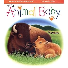 Wild Animal Baby