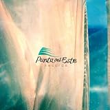 Ameba (Original Mix)