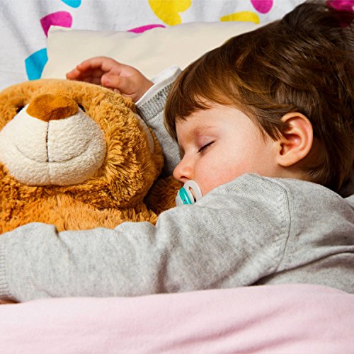 Toddler Pillow Delicate Organic Cotton Shell Soft and Supportive