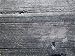 Rock Carvings Between 2000 and 6000 Years Old on Ice Striations, Hjemmeluft Alta, Nor...