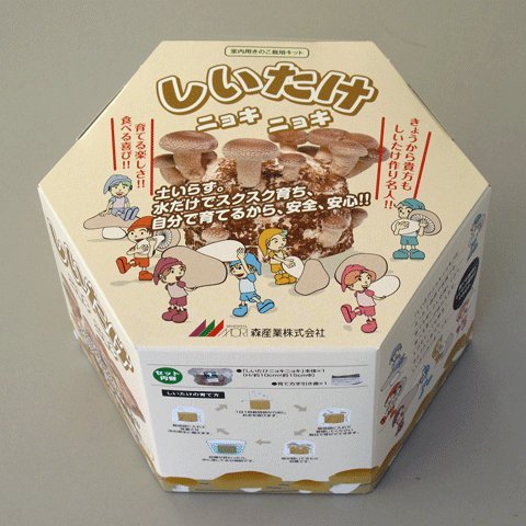 【送料無料】もりのしいたけ農園ミニ しいたけニョキニョキ