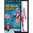 SMARTLAB: You Explore It - Human Body by Lucille Kayes