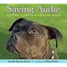 Saving Audie: A Pit Bull Puppy Gets a Second Chance