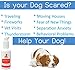 Mr. Peanut's Naturals Liquid Dog Calming Aid, 118 Pre-Measured Doses, Ultra Safe Anti Anxiety Stress Reliever in Liquid Form is Absorbed Faster Than Tablets or Powders, Naturally