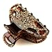 Helion Golden Amber - Cubitas Avignon Collection (Made in France, Hand-set Swarovski Crystals, Claw Clip)