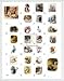 Peter Rabbit Alphabet - Beatrix Potter (tm) Art Print Poster 22 x 28 Image