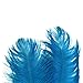 10pcs Home Decor Blue Ostrich Feathers