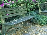 IMAGE OF Park Benches in Town Square, Savannah, Georgia, USA Photographic Poster Print by Julie Eggers, 48x64