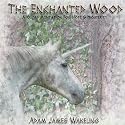 The Enchanted Wood - Guided