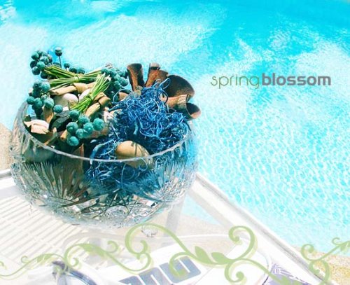 Cover image : BOTANIQUE Spring Blossom Tropical Sky 200g