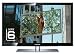 Samsung UE40C6200 101,6 cm (40 Zoll) LED-Backlight-Fernseher (Full-HD, 100Hz, DVB-T/-C/-S2) schwarz