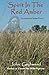 Spirit In The Red Amber: A novel of an American Indian