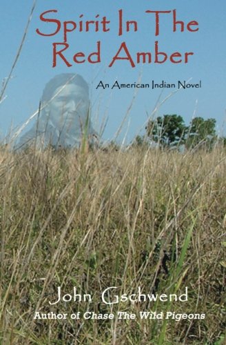 Spirit In The Red Amber: A novel of an American Indian