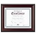 DAX Products - DAX - Rosewood Document Frame, Wall-Mount, Wood, 8 1/2 x 11 - Sold As 1 Each - Proudly display your achievements in this elegant rosewood frame. - The lovely frame will add a classical touch to any award, certificate, diploma, or other important document. - Hang the frame either vertically or horizontally.