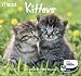 2012 Kittens Mini Calendar