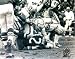 Ben Davidson Autographed NFL Licensed 8x10 Photo Image