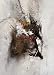 ISOLDE FOLGER GARACHICO II 19.75"X27.5" ABSTRACT GREY BLACK ART PRINT IFO-11