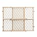 Evenflo Position and Lock Bundle Pack, Tan 2-Count RS.5899.00