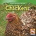 Chickens (Animals That Live on the Farm)