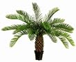36" Plastic Cycas Palm Plant