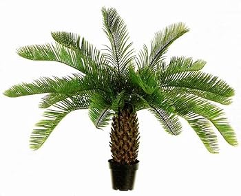 36" Plastic Cycas Palm Plant