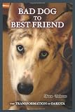 Bad Dog to Best Friend: The Transformation of Dakota