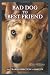 Bad Dog to Best Friend: The Transformation of Dakota