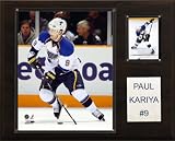 NHL Paul Kariya St. Louis Blues Player Plaque