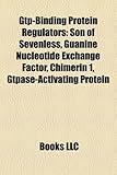 Gtp-Binding Protein Regulators: Son of Sevenless, Guanine Nucleotide Exchange Factor, Chimerin 1, Gtpase-Activating Protein-