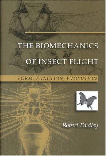 The Biomechanics of Insect Flight