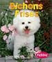 Bichons Frises (Dogs (Pebble))