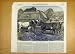 1853 Short-Horn Cattle United-Sates Animal Old Print