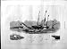1875 Ships Collision Solent Alberta Mistletoe Crash