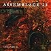 Assemblage 23 - Addendum