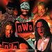New World Order - Group Photo Decal