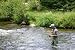 Fly Fishing - 24W x 16H - Peel and Stick Wall Decal by Wallmonkeys