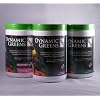 Dynamic Greens GLUTEN FREE CHOCOLATE Flavor *Certified Organic* w/ Acai, Gogi, Mangosteen, Noni & Pomegranate Super Fruits by Nutrition Dynamics
