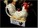 Porcelain Apple, Rooster 
