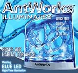 AntWorks Illuminated Combo Kit