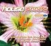 Search : House 2005/2