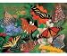 New Impact Photographics Puzzle North American Butterflies 500-Piece Jigsaw Puzzle