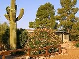 Tucson Residence - 24