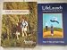 Adult Development and Life Launch Custom Edition for Ashford University 2006