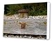 Kitchen & Housewares : Sea breaker beam no. 2 canvas print artwork